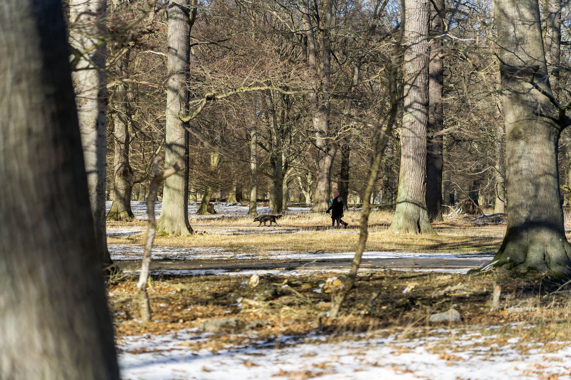 Borgmester Jørgensens Vej 9, Klampenborg - Andet