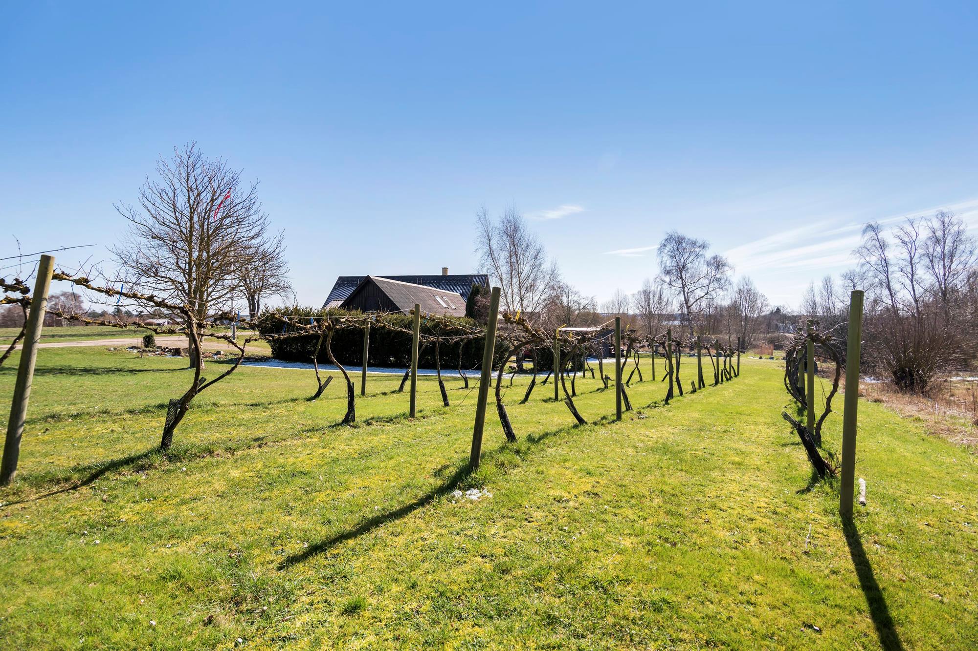 Ærtebjergvej 23, Grevinge - Område