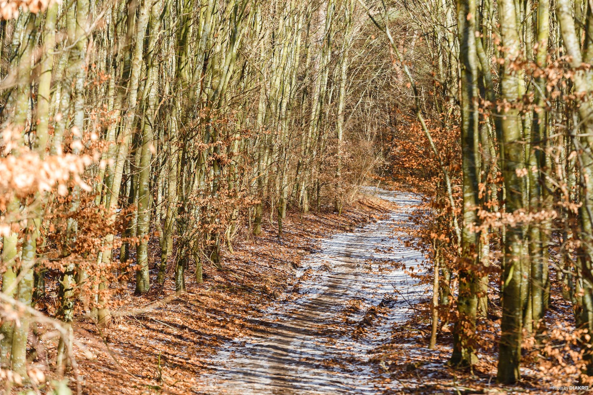 Vedbendvej 5, Nykøbing Sj - Område