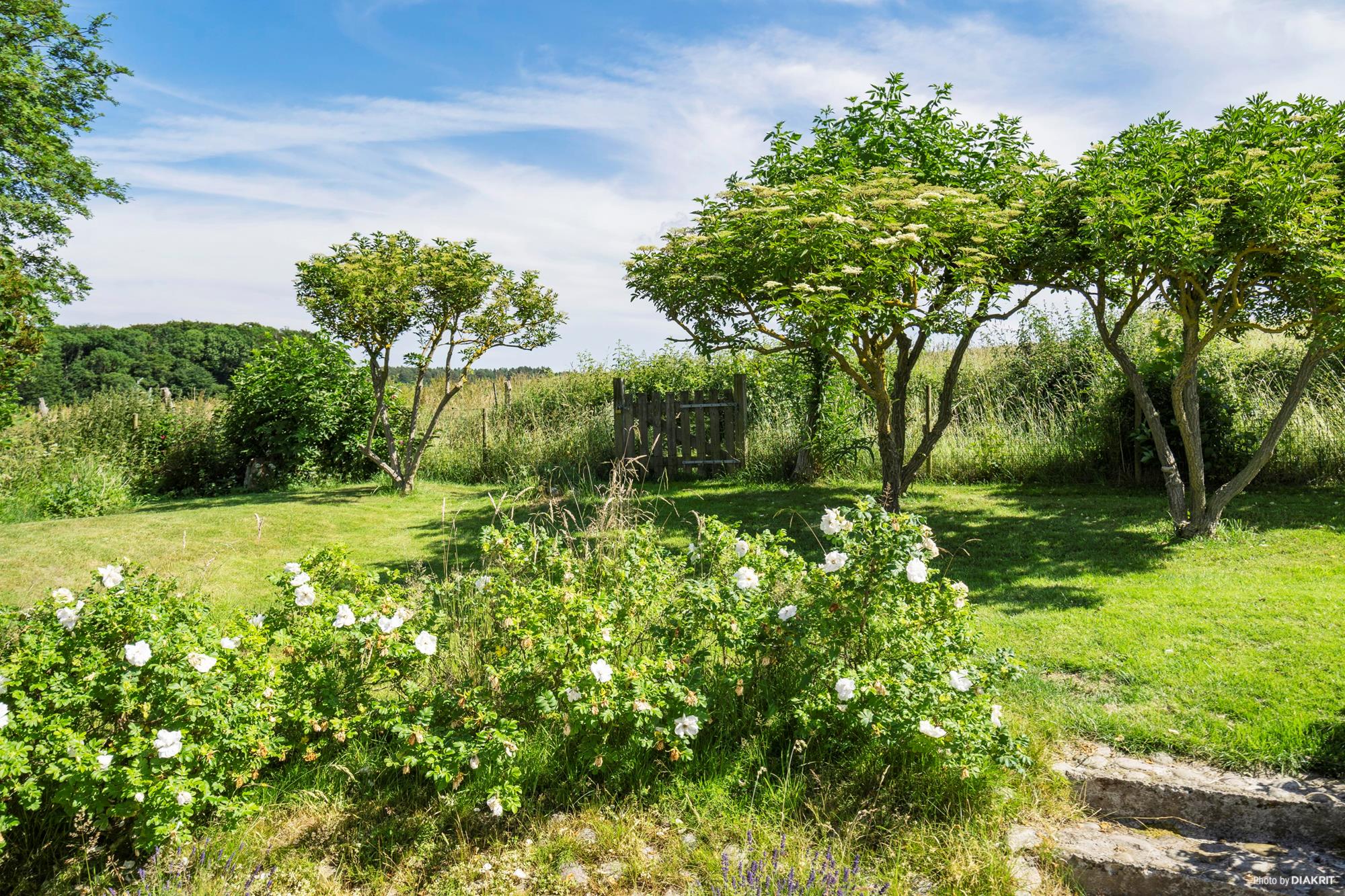 Fasanvej 64, Villingerød, Dronningmølle - Område
