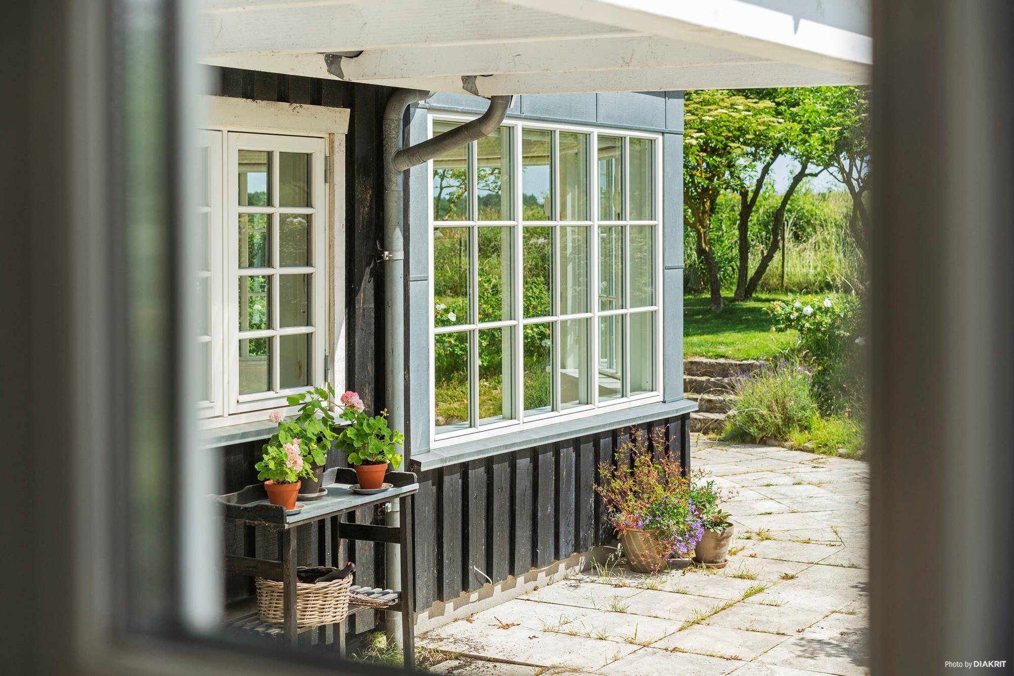Fasanvej 64, Villingerød, Dronningmølle - Område