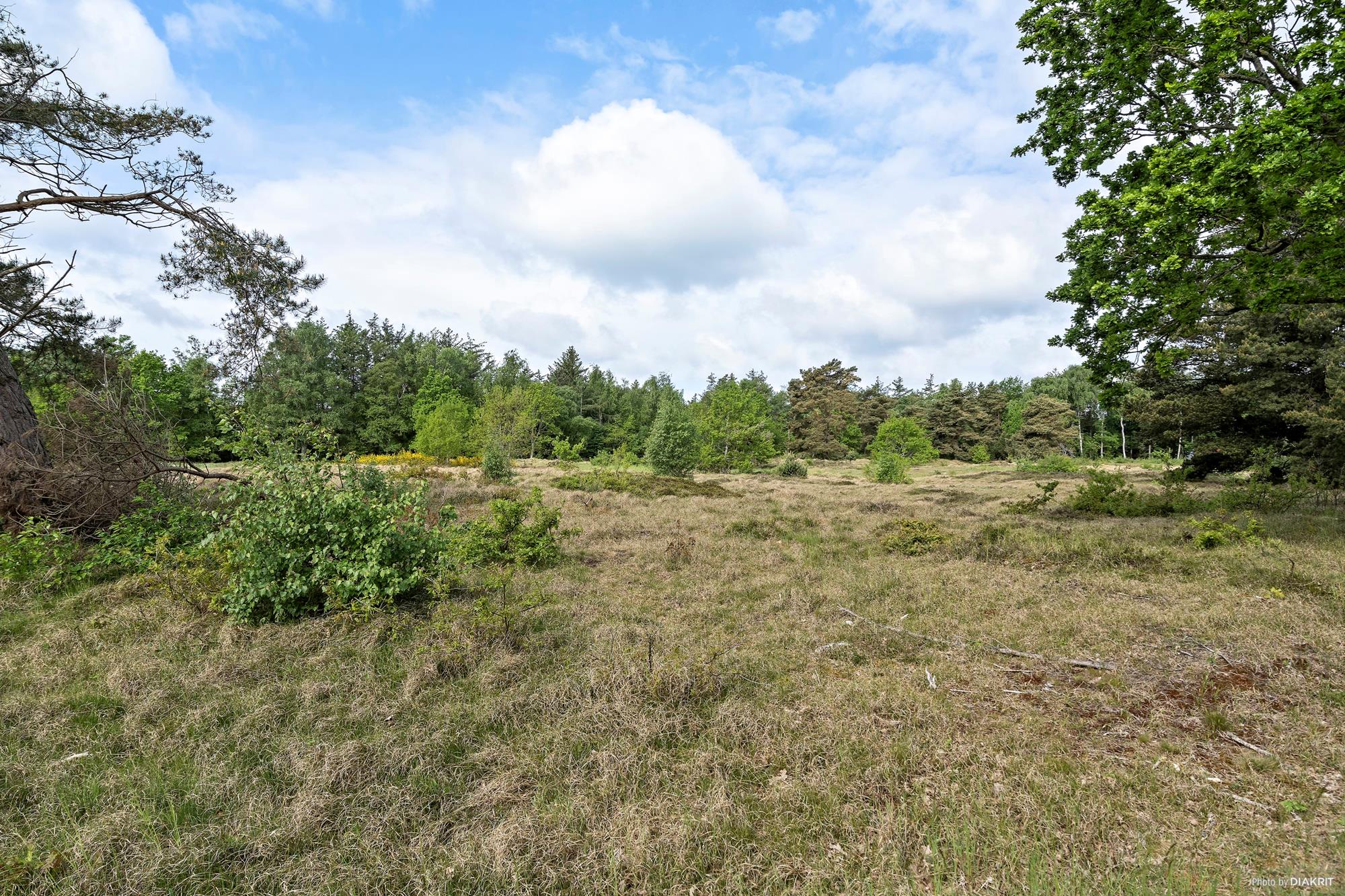 Udsholt Strandvej 117, Udsholt, Græsted - Andet