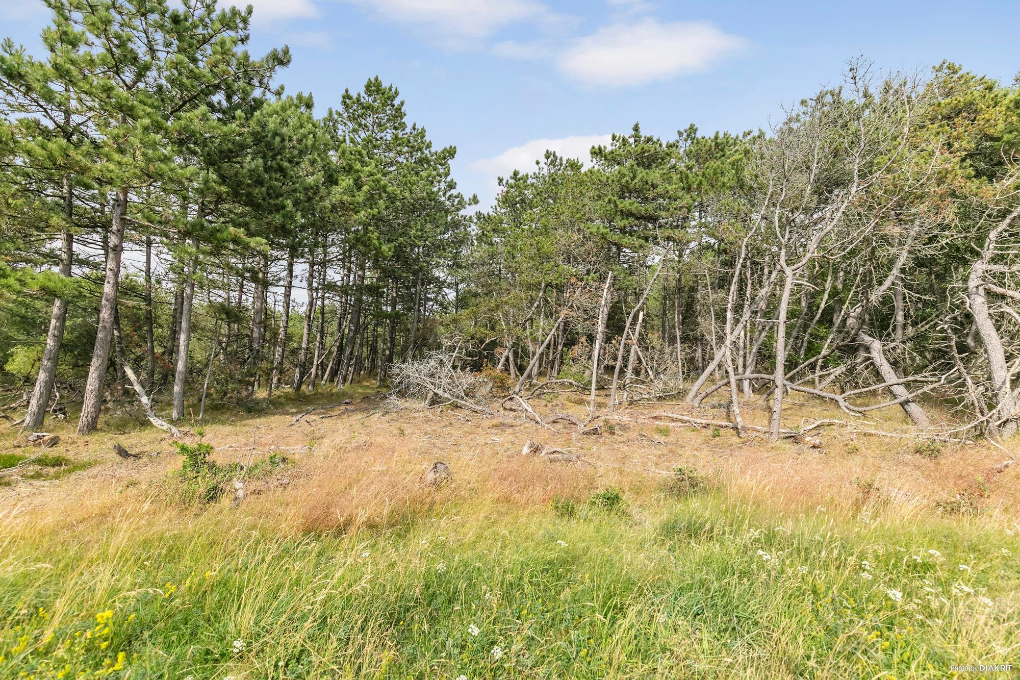 Knud Rasmussensvej 34, Frederiksværk - Område