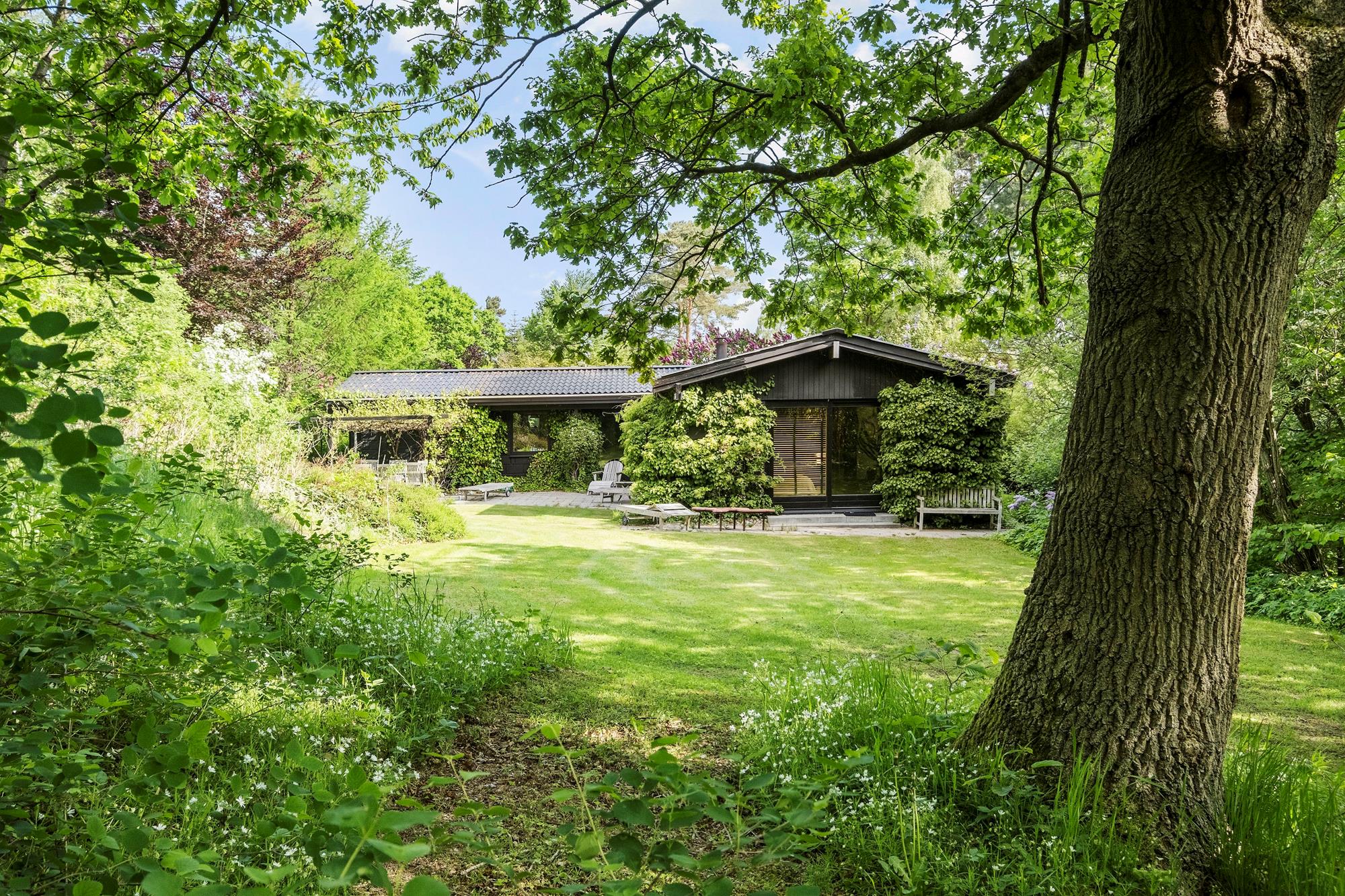 Blåbærvej 17, Horneby Fælled, Hornbæk - Ejendommen