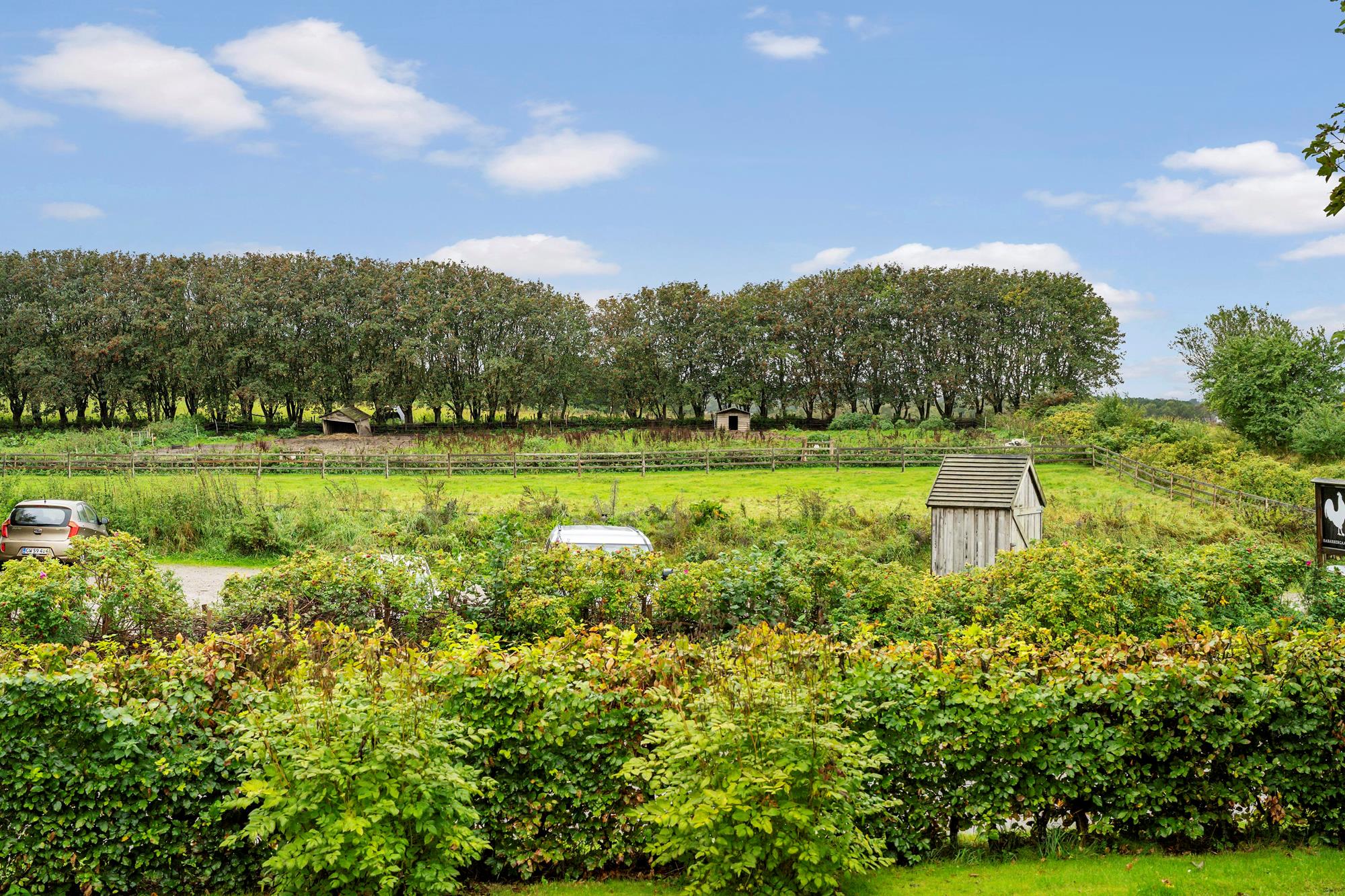 Rughaven 2, Vejby - Område