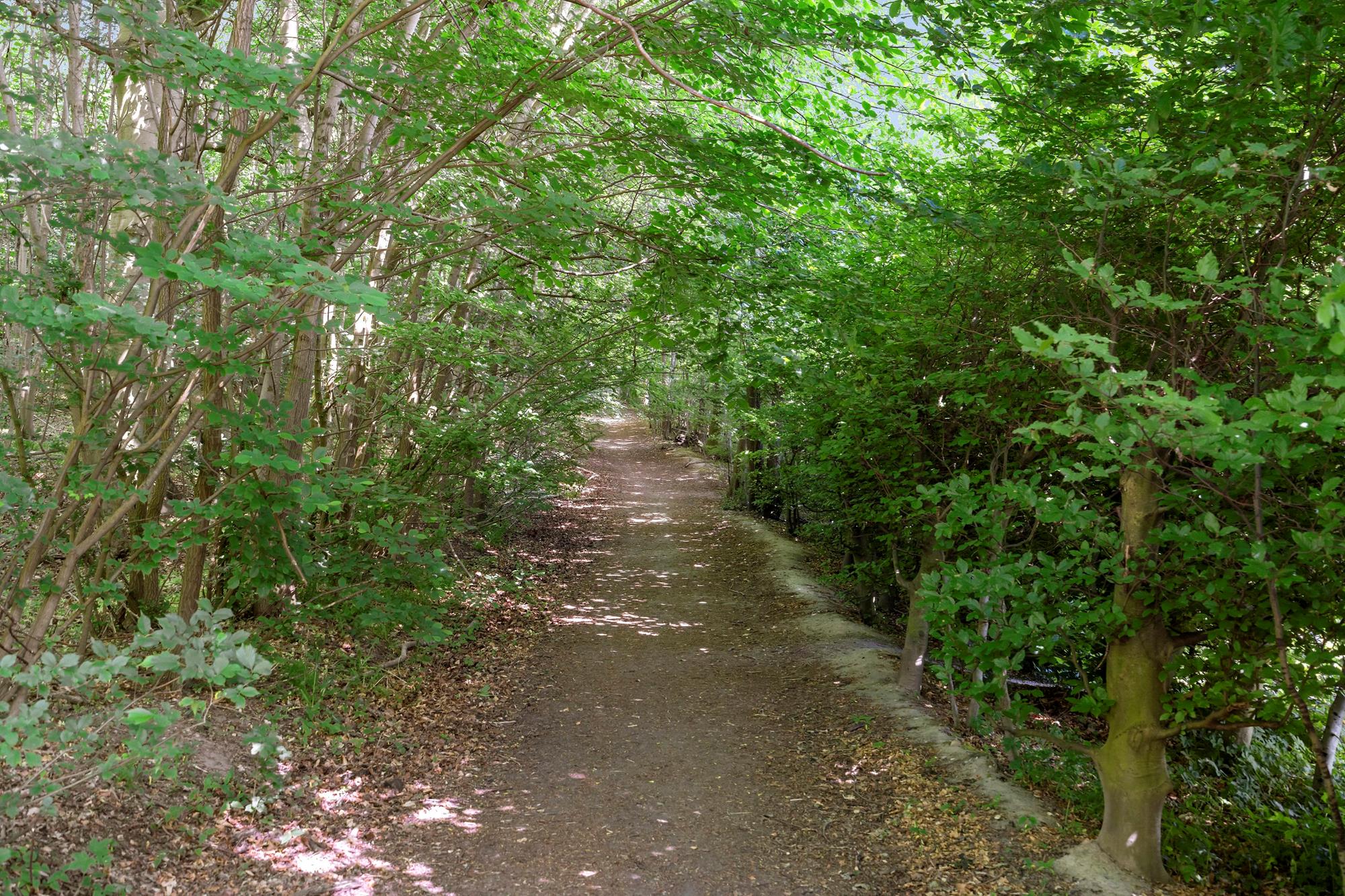 Skovstykket 11, Virum - Andet