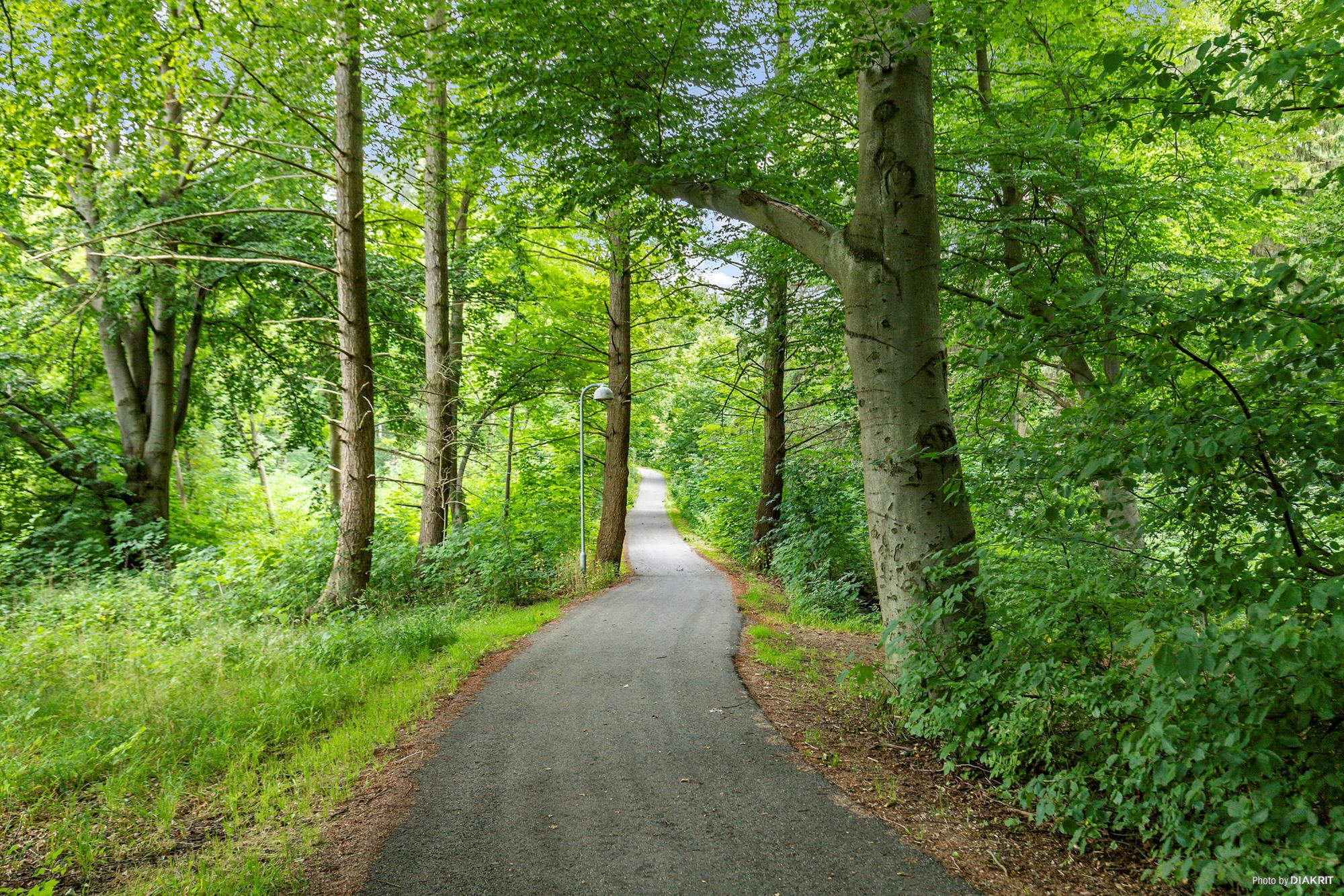 Helleholm 45, Rungsted Kyst - Område