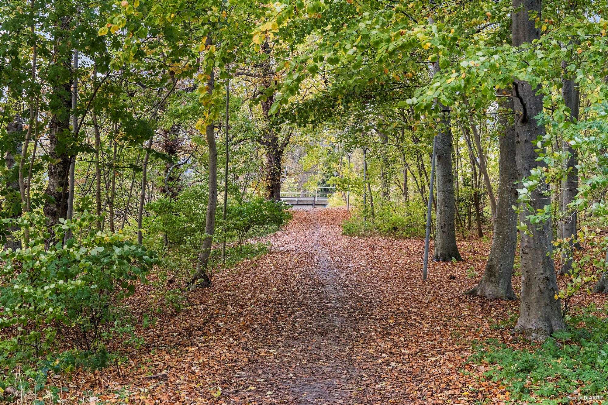 Lundemarksvej 58, Holbæk - Område